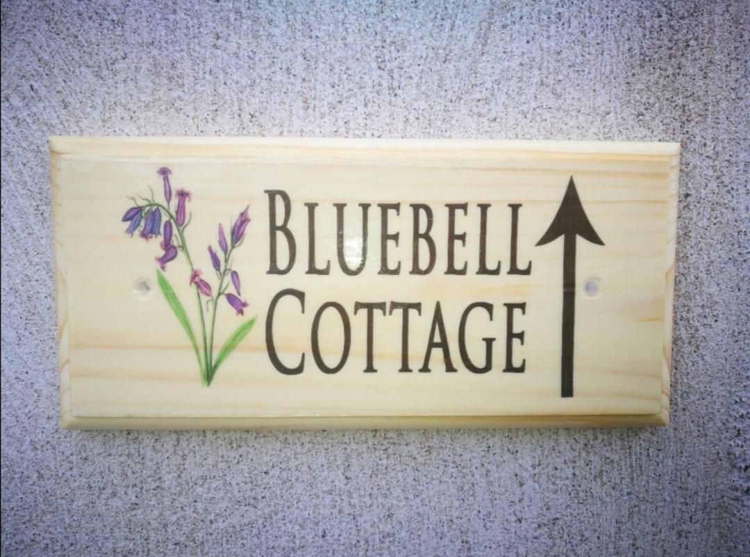 Bluebell * Newry